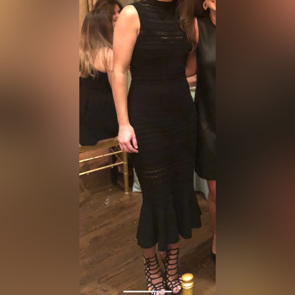 Alexis black fitted dress